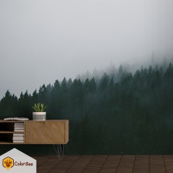 Fototapetai "Pine trees with fog"